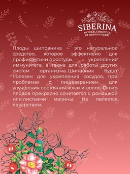 Шиповник (плоды) защита от простуд и инфекций - Siberina фото 7