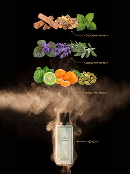 Парфюмерная вода для мужчин Лесная симфония, 85мл