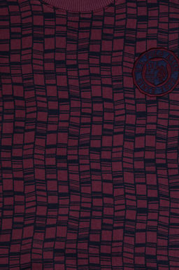 Erkek _ocuk Bordo Bisiklet Yaka Sweatshirt - U.s. polo assn фото 3
