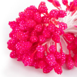 Blumentag Тычинки для искусственных цветов TIC/MBF-3 10 х 85 шт красный/red фото 5