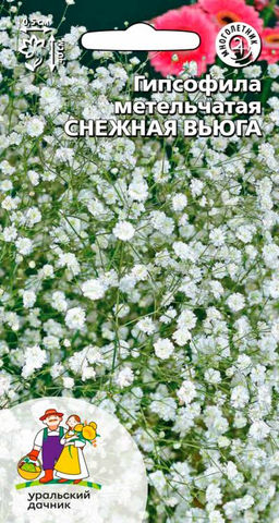 Гипсофила метельчатая СНЕЖНАЯ ВЬЮГА