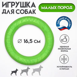 Кольцо «ДогЛайк» D-5195, 8-мигранное, миниатюрное, ⌀ 16.5 см, зелёное