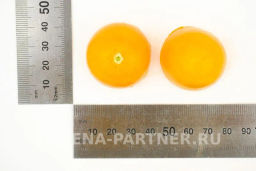 Томат Гейша - Партнер фото 7