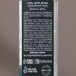 Подарочный набор новогодний Сильному духом: гель для душа и шампунь для волос, 2?100 мл, Чистое счастье