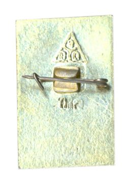 Значок Боголюбово