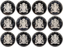 Набор из 12 монет 10 квача 2010 года Малави Хищные птицы