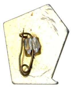 Значок Сочи