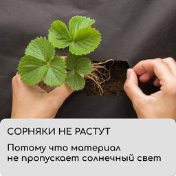 Материал мульчирующий, 10×1.6 м, плотность 60 г/м², спанбонд с УФ-стабилизатором, четыре ряда перфорации, чёрный, Greengo, Эконом 30%