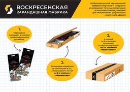 Аква-колор Изостудия IZO-CP12 Набор цветных карандашей заточенный 8 х 12 цв