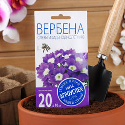 Семена цветов Вербена «Слезы Изиды», низкорослая, однолетник, 7 шт., «Агроуспех»