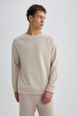 Толстовка стандартного кроя с круглым вырезом и вафельным узором - Defacto фото 3