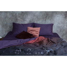 Постельное бельё Этель 1.5 сп Red planet 143*215см, 160*240 см, 50*70 см - 2 шт  фото 25