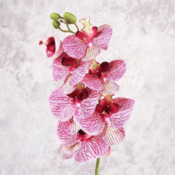 Цветок искусственный Орхидея 7 цветков / WS-27 /уп 40/400/ - Галеонтрейд фото 7