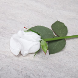 Цветок искусственный Роза 45 см белая / J104-2 /уп 80/480/ латекс