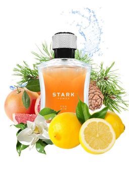 Dilis STARK POWER Туалетная вода для мужчин 100 мл  фото 2