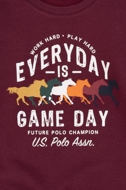 Erkek _ocuk Bordo Bisiklet Yaka Sweatshirt - U.s. polo assn фото 4