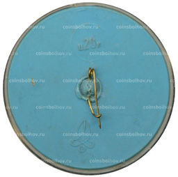 Значок Игналина  лагерь физик