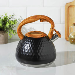 Чайник Magistro Heat, 3 л, ТРС, ручка soft-touch, со свистком, индукция, нержавеющая сталь, чёрный