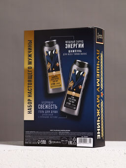 Подарочный набор «Тому, кто создан для побед», гель для душа, 250 мл и шампунь для волос, 250 мл, Чистое счастье