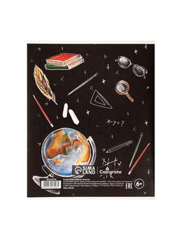 Цена за 10 шт. Тетрадь предметная, 48 листов в клетку, Calligrata Доска. Физика  фото 7