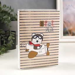 Цена за 2 шт. Фотоальбом на 36 фото 10×15 см «Миша»