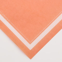 Цена за 10 шт. Пергамент для цветов «Нежность», 50 х 70 см