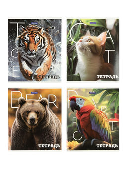 Комплект 12 тетрадей, 48 листов, клетка, 60гр, 4 вида, Животные