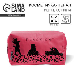 Косметичка Black Cat 17?10?5 см, на молнии