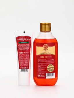 Подарочный набор новогодний Заветное желание, гель для душа 300 мл и лосьон для тела 85 мл, URAL LAB