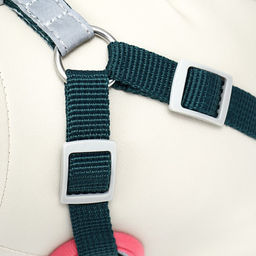 Комплект Sport+, XS, поводок 120 x 1,5 см, ОШ 37-39 см, ОГ 41-46 см, вес животного 4-6 кг, зелёный - Пижон фото 7