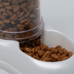 Автопоилка - автокормушка, 600 мл, белая перламутр