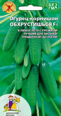 Огурец ОБХРУСТИШЬСЯ F1  Плодоносит до глубокой осени! Лучший для засолки! В любое лето с урожаем!
