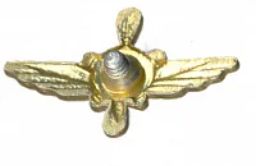 Значок Эмблема Военно-воздушные силы  техник