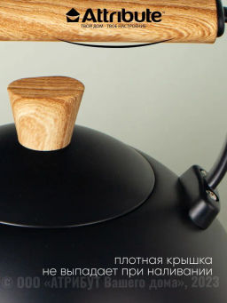 Чайник BLACKWOOD 2.5л со свистком