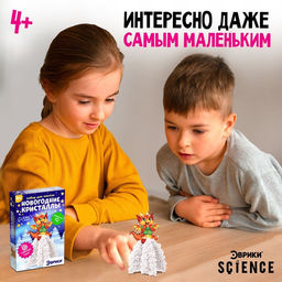 Набор для опытов Новогодние кристаллы, красный дракончик - Эврики фото 2
