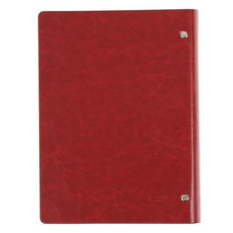 Органайзер на кольцах Престиж А5, 92 листа, в линейку, обложка кожзам, МИКС - Calligrata фото 10