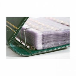 Альбом для монет без листов с защитным шубером формат Grande Gigant Зеленый классический дизайн LEUCHTTURM 337958