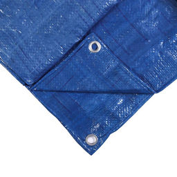 Тент защитный, 8×6 м, плотность 60 г/м², люверсы шаг 1 м, тарпаулин, УФ, МИКС