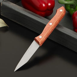 Нож для овощей Доляна Ecology, лезвие 8,5 см  фото 3