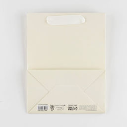 Цена за 2 шт. Пакет подарочный ламинированный, упаковка, «Молочный», MS 18 х 23 х 10 см