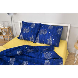 Постельное бельё Этель дуэт Ушастые совы (вид 3) 143 х 215 см - 2 шт., 220 х 240 см, 70 х 70 см - 2 шт  фото 19