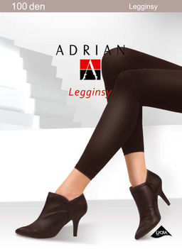 Леггинсы LEGGINGS 100den