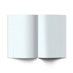 Светоч 18ТСК5_1_3_1 Тетрадь ученическая школьная Классная A5 18 л. на скобе 65 г/кв.м , белизна 100 % 20 шт. клетка 000302 Голубая фото 4