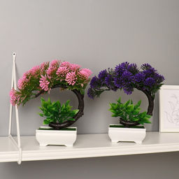 Бонсай в горшке «Селагинелла африканская», 10×20 см, МИКС