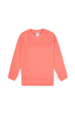 K_z _ocuk Neon Pembe Bisiklet Yaka Sweatshirt - U.s. polo assn фото 2
