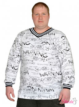 Толстовка Модель №1923 размеры 44-84