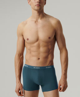 ATLANTIC 2RMH-011 Трусы шорты - набор (2 шт.) серый меланж + морской фото 2