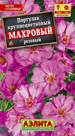 Портулак махровый розовый
