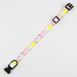 Ошейник Сочное настроение, застёжка - фастекс, 2.5 см, 40-55 см - Пушистое счастье фото 8