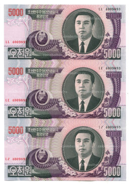 5000 вон 2006 года Северная Корея Лист из трех банкнот